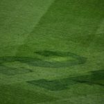 article image - 